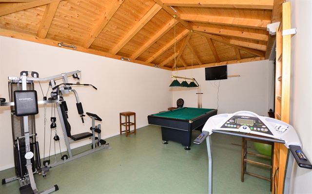 Gym with pool table and treadmill